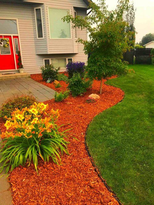 front yard cedar mulch and plants