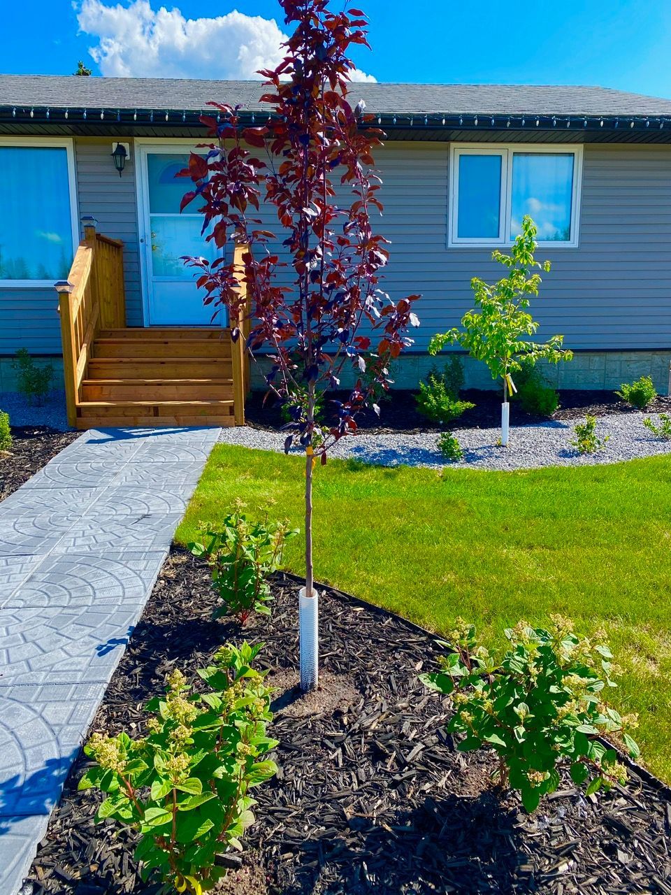 front yard eye turner landscaping 