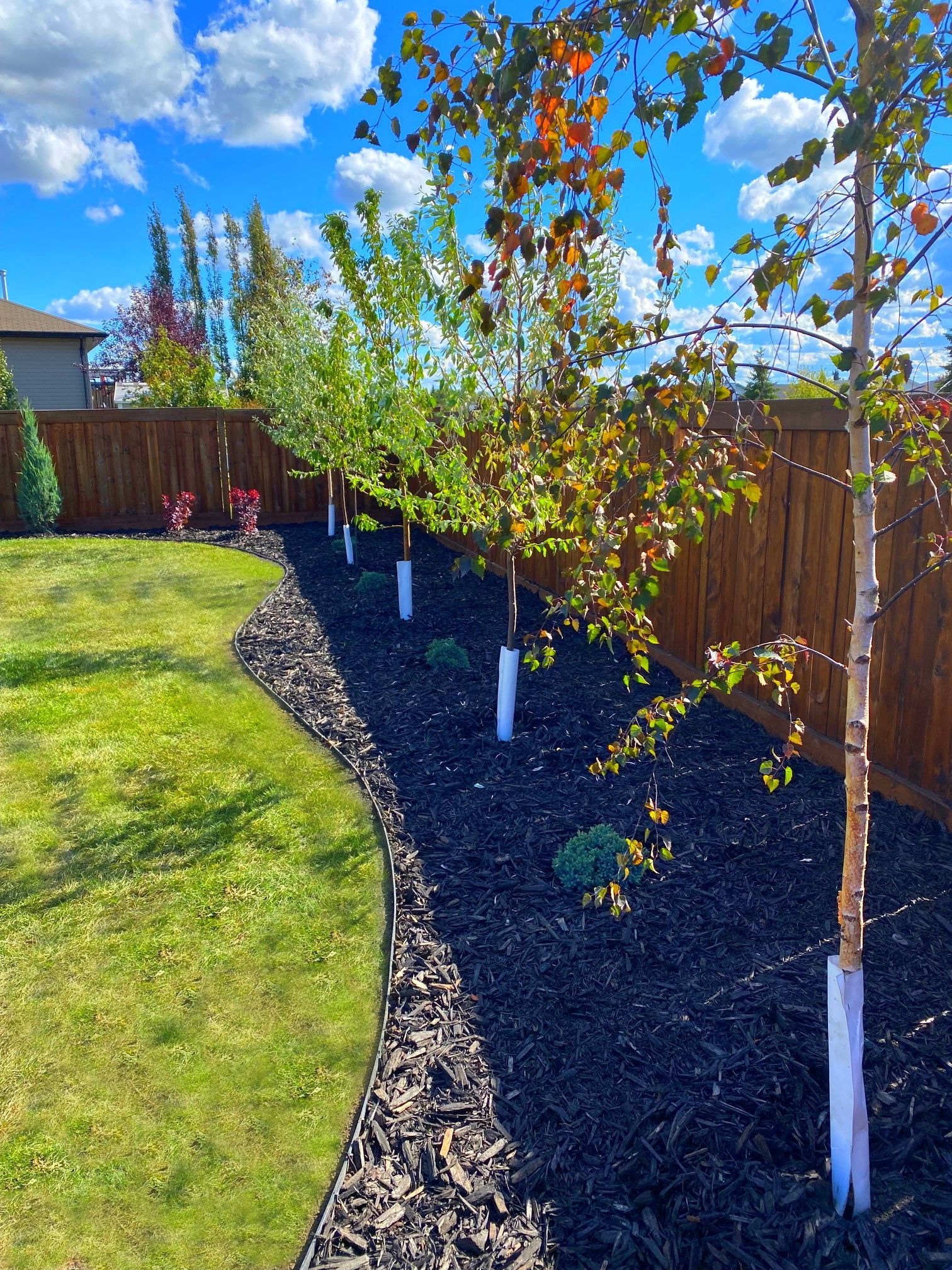 backyard low maintenance st paul alberta landscaping