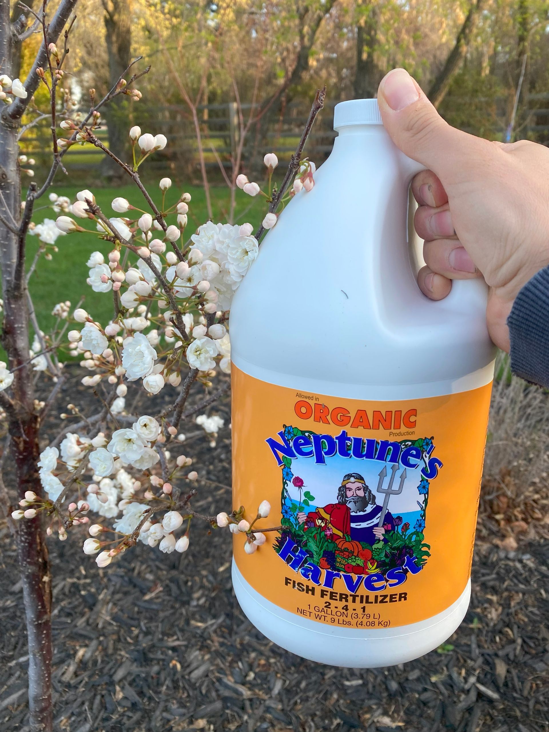 neptune's organic fertilizer canada