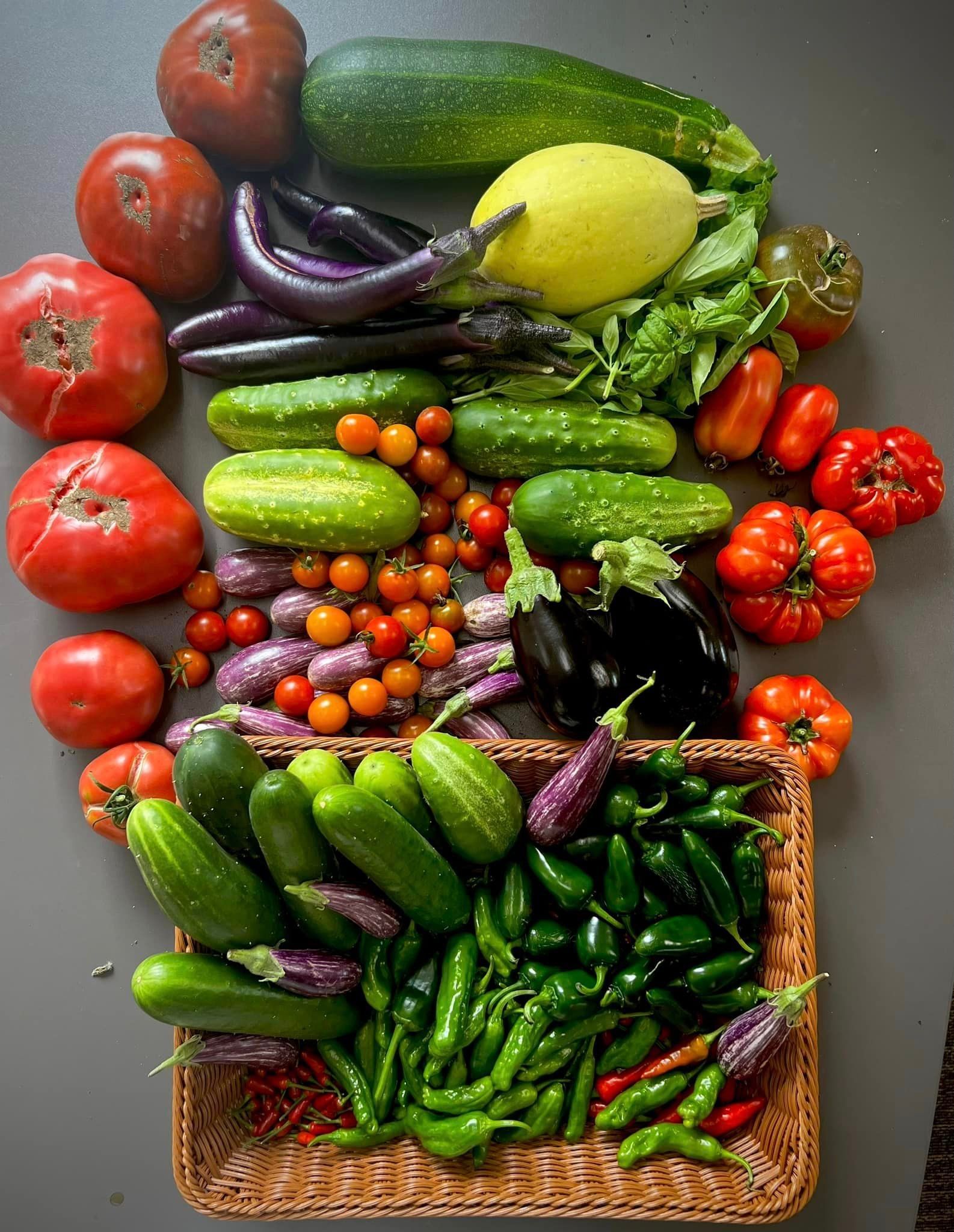 Vegetables using neptune's harvest