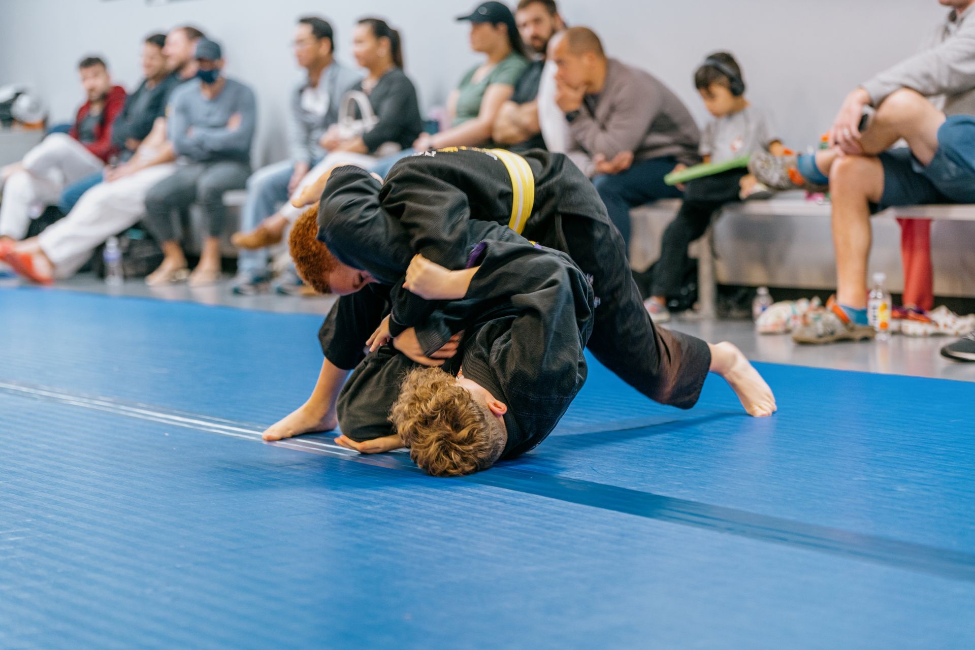 next level Jiu Jitsu gallery