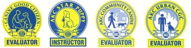 akc obedience levels