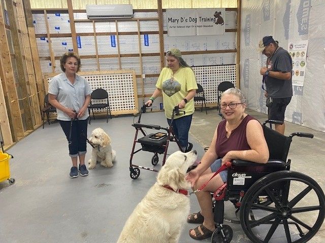 Advanced Obedience Skills Sussex County DE Mary D s Dog Training