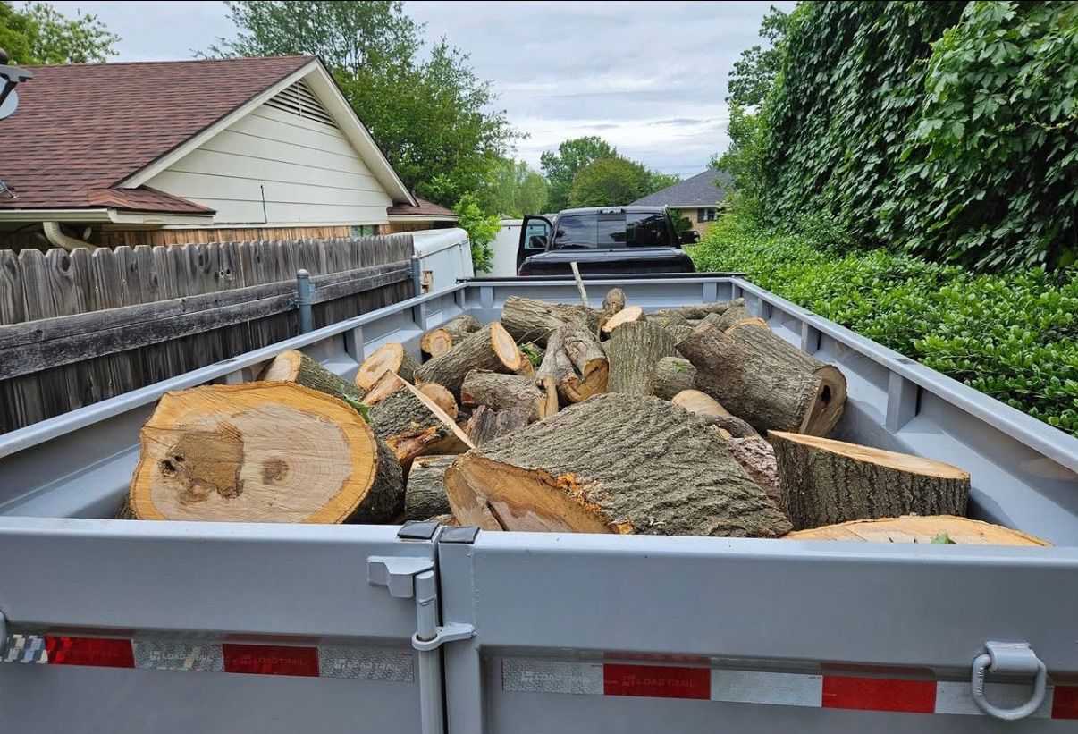 a man is using a chainsaw to cut a tree
