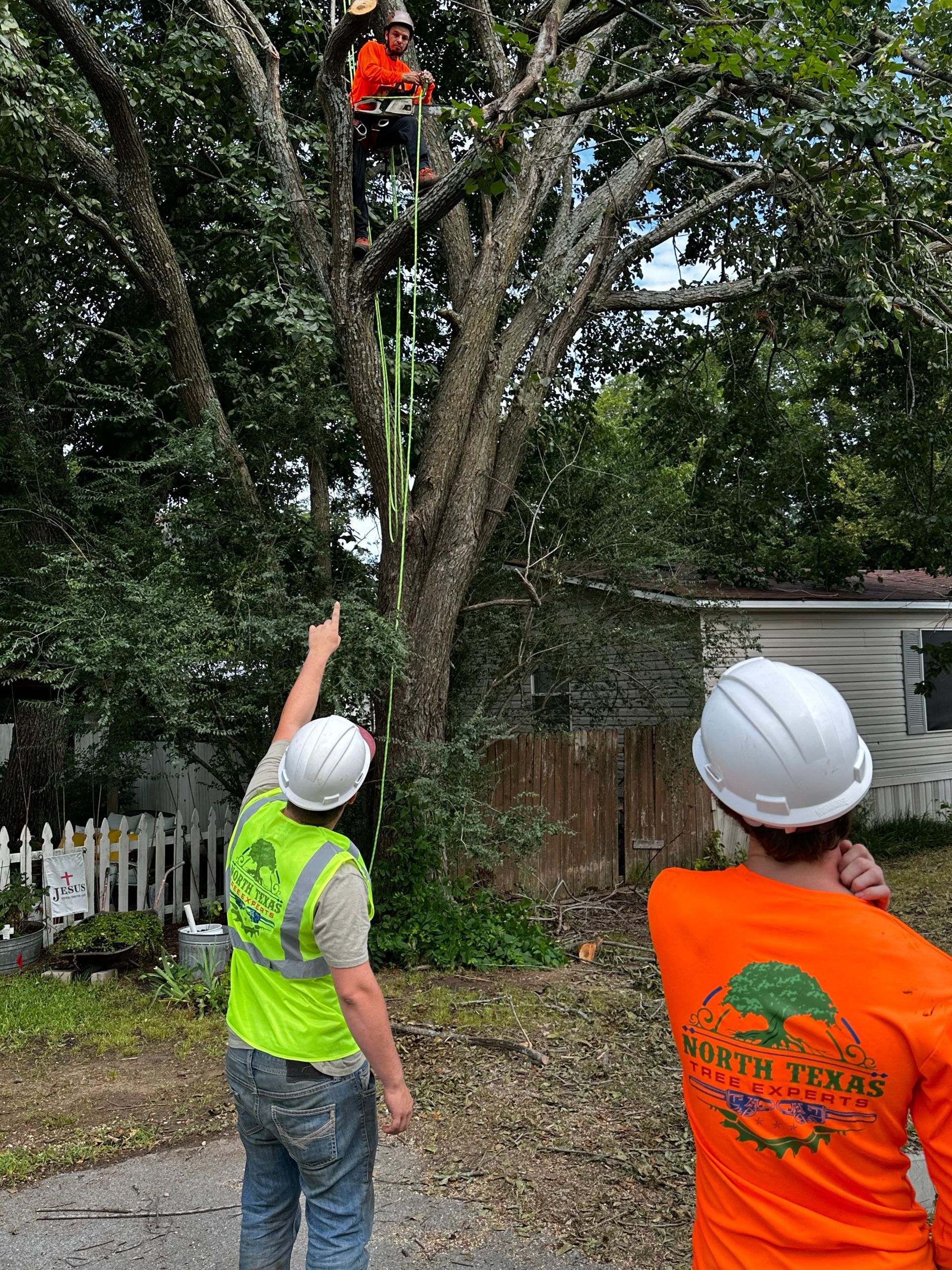 a man is using a chainsaw to cut a tree