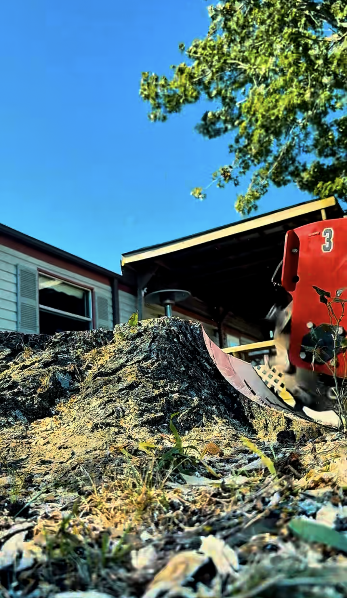 Stump Grinder in Action