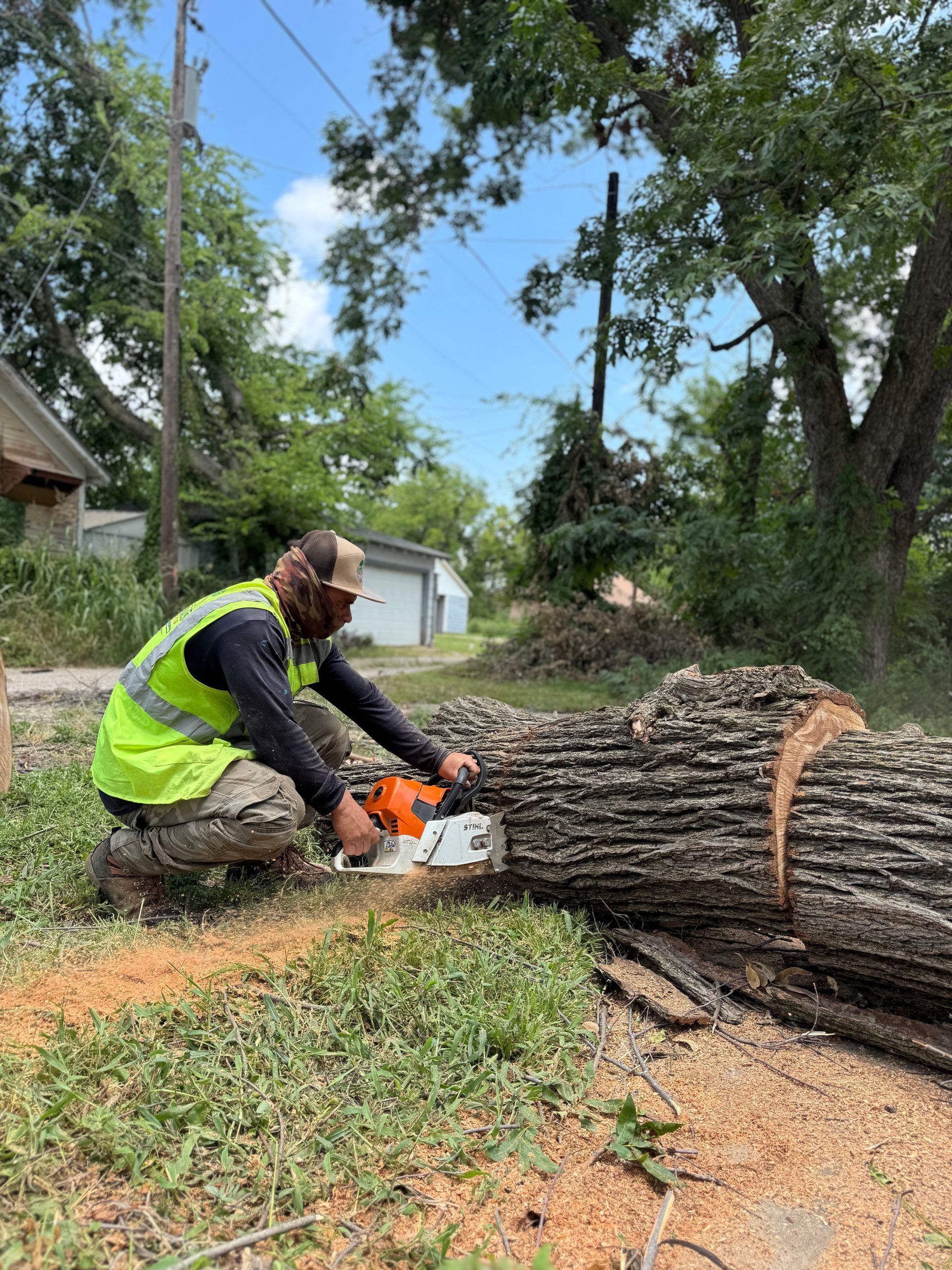 A man is cutting a tree with a chainsaw.