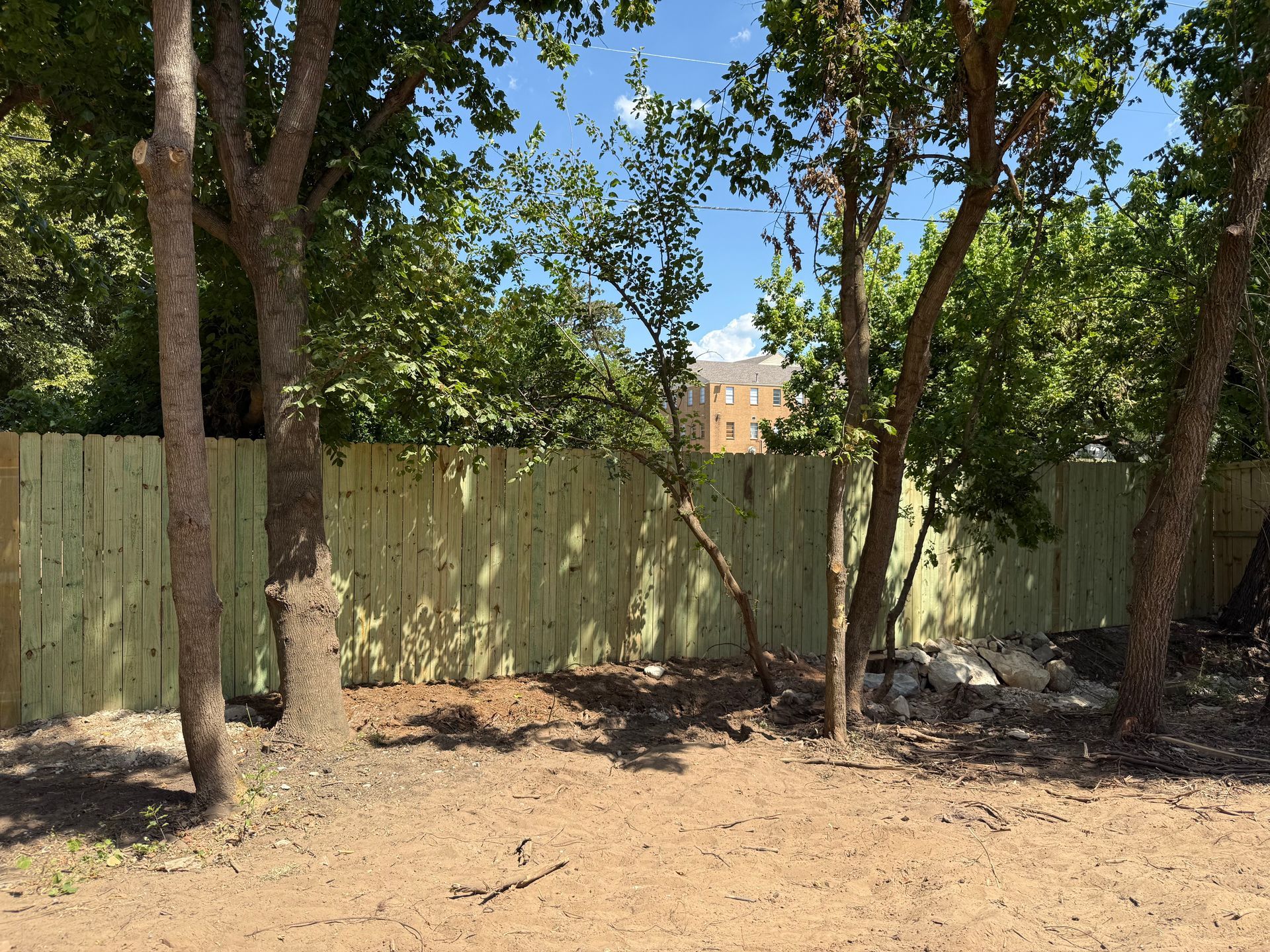 A man is cutting a tree with a chainsaw.