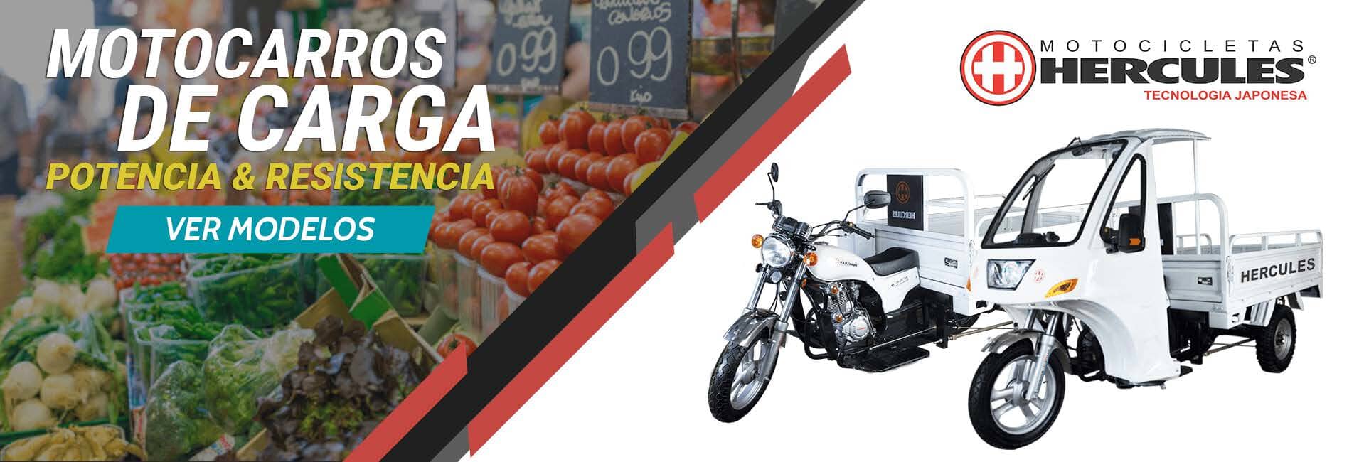 BICIMOTOS - MOTOS DE CARGA