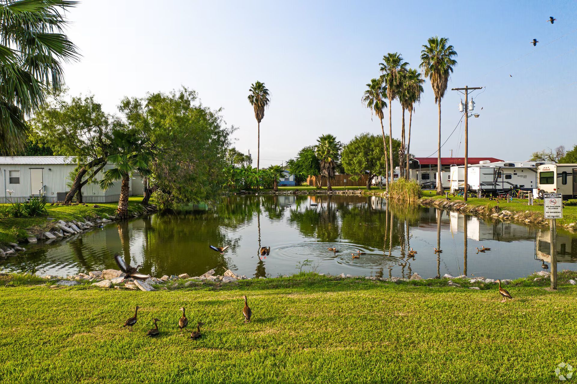 A man is plastering a wall with a trowel.