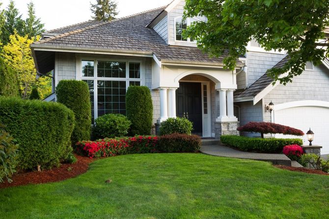 Residential front yard with manicured green grass and sculpted hedges.