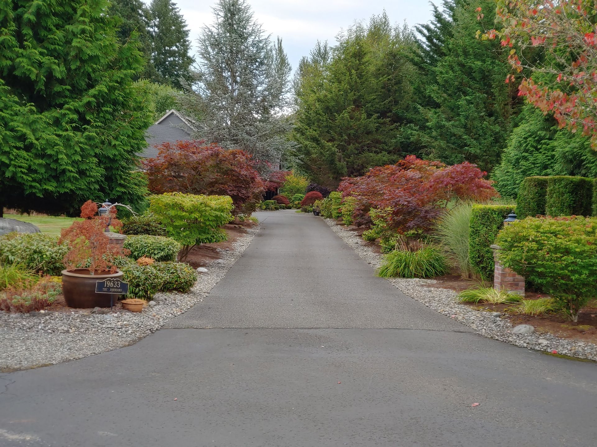 A driveway leading to a house surrounded by trees and bushes