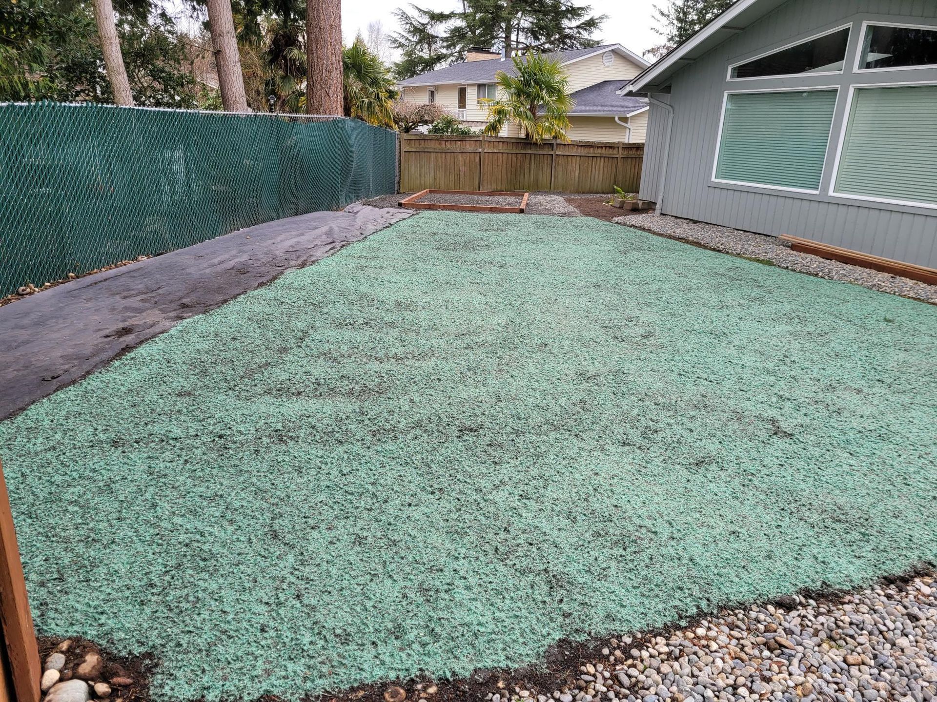 A backyard with a lot of green gravel and a house in the background.