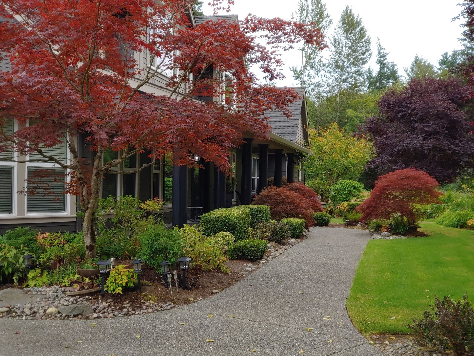 A house with red leaves is surrounded by trees and bushes