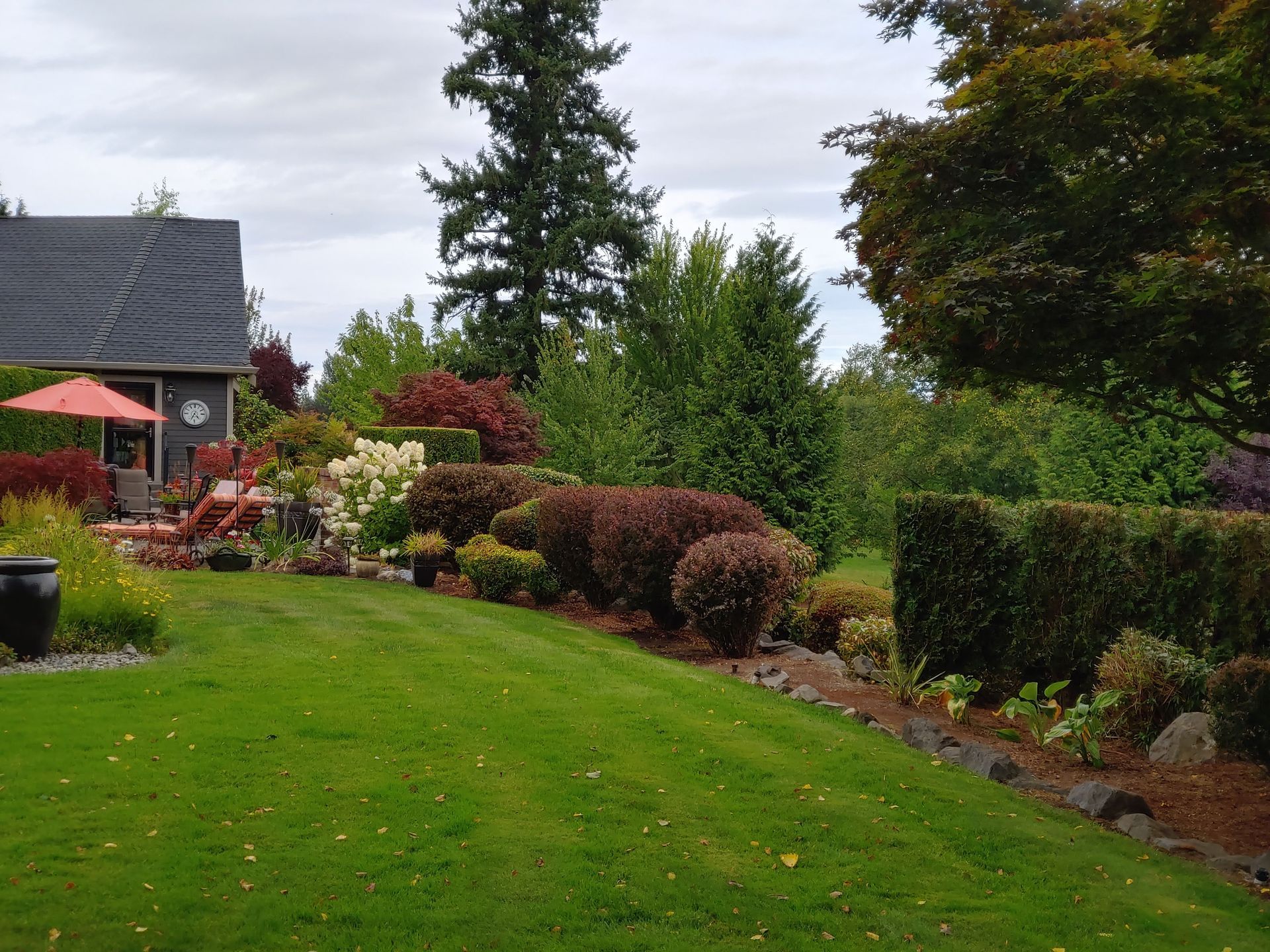A lush green yard with a house in the background