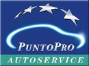 Punto Assistenza Renault