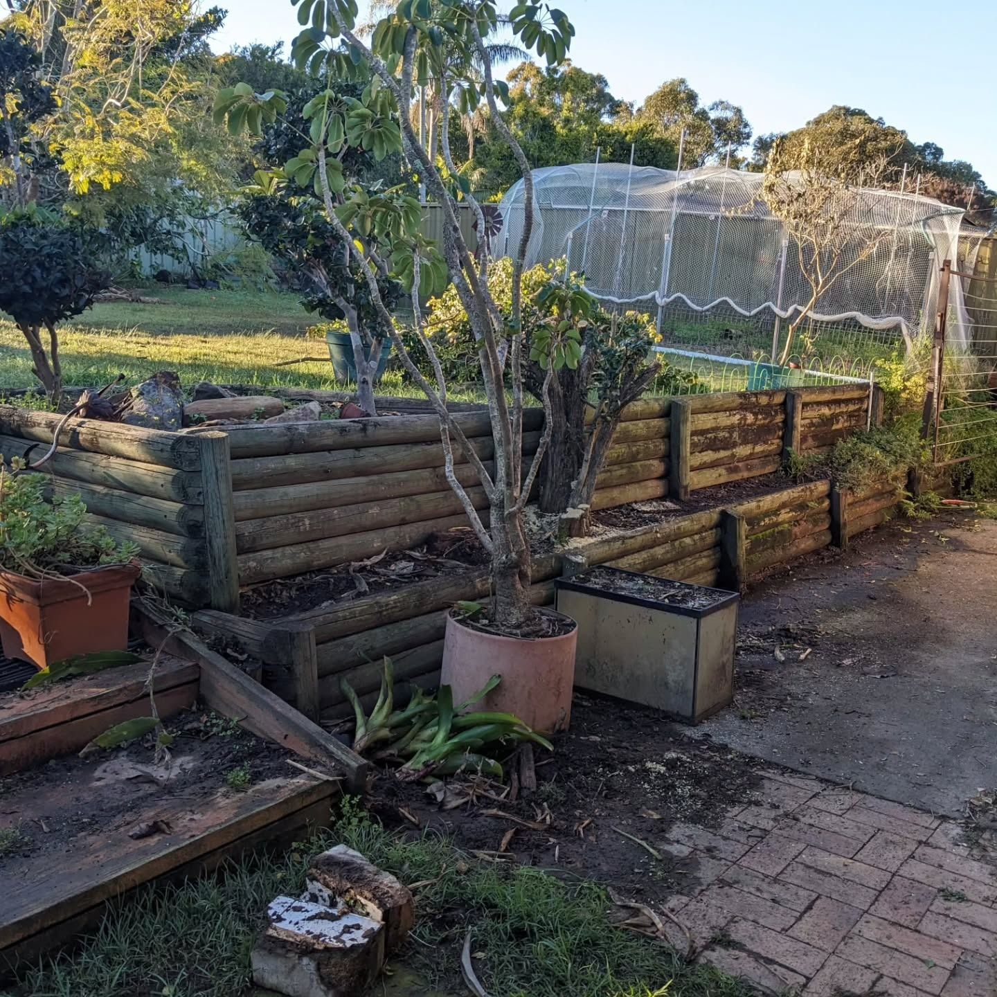 A Garden With Raised Beds Made of Logs — Concrete Sleepers NSW in Sancrox, NSW