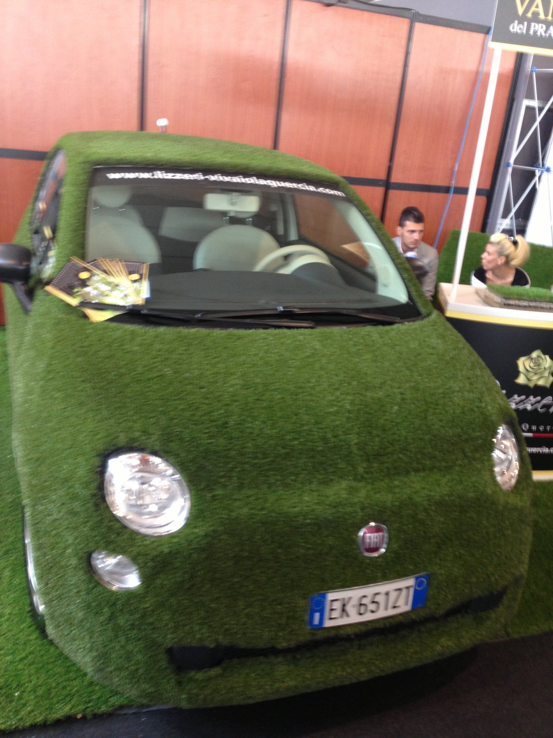 Scocca di un'auto coperta con manto erboso