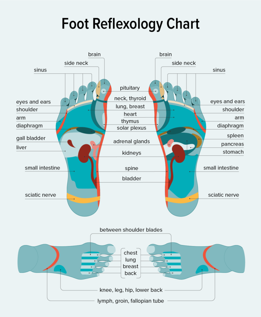 Foot reflexology chart with labeled foot diagrams showing corresponding body areas.