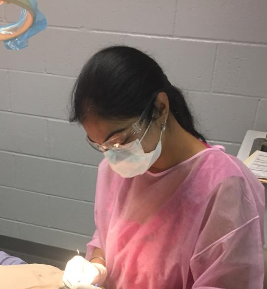 Woman in pink surgical gown, mask, and glasses, performing a medical procedure.