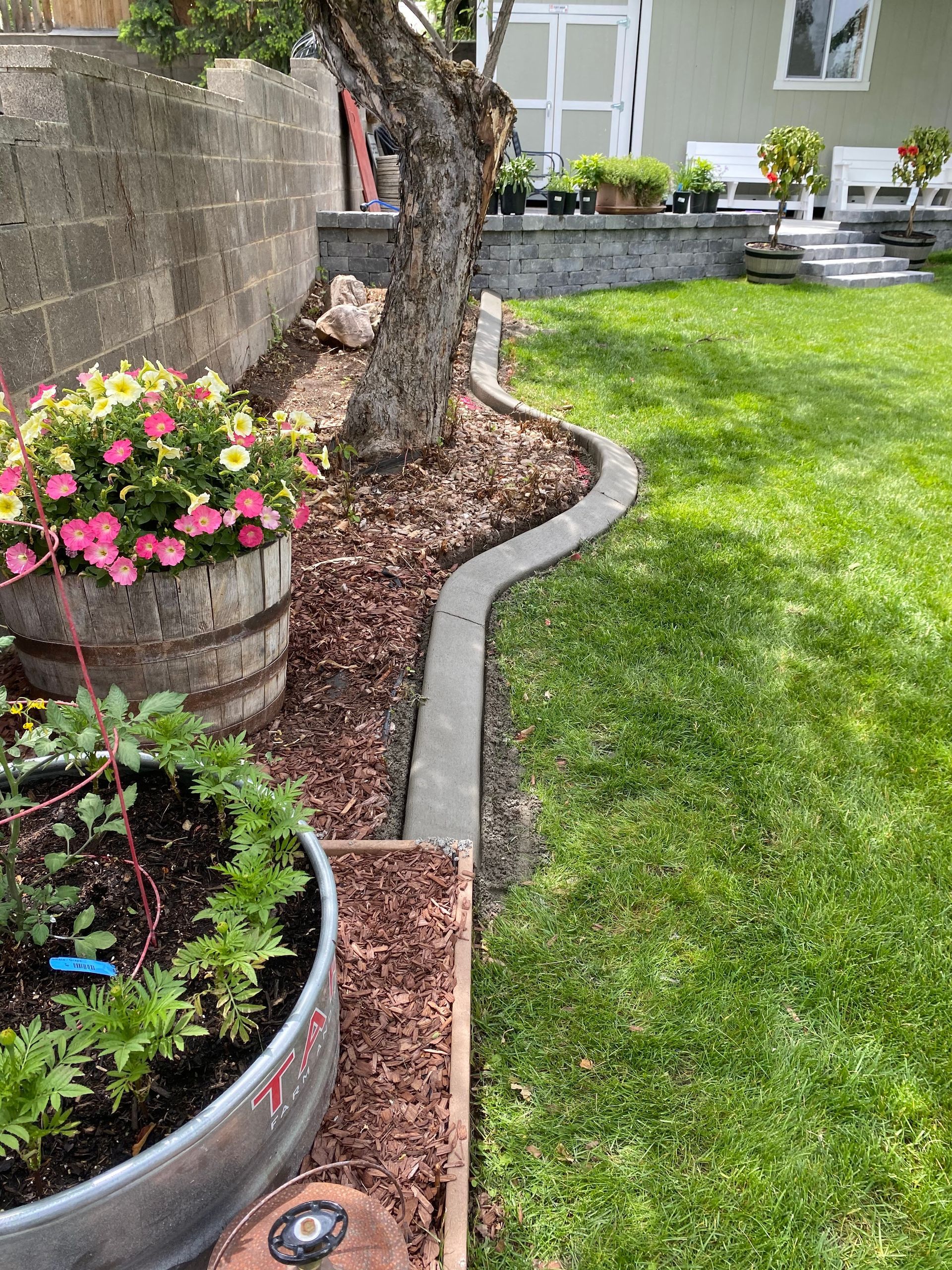 Judd Landscape & Curbing LLC | a lawn with a concrete curb and a tree in the background.