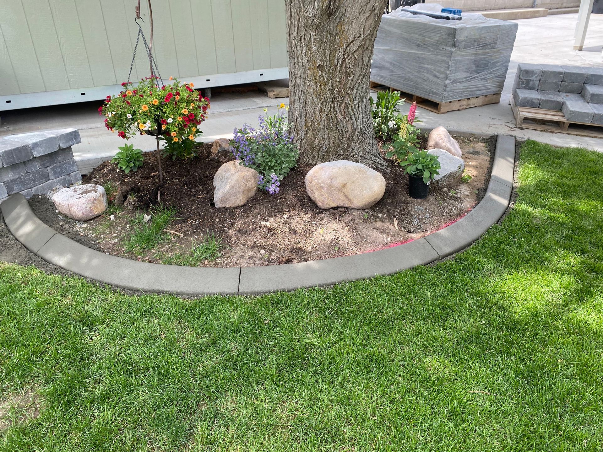 Judd Landscape & Curbing LLC | a tree is surrounded by rocks and flowers in a garden.