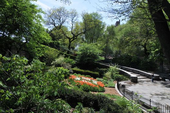 Triskelion Meaning — Trees and Flowers on Park in New York, NY