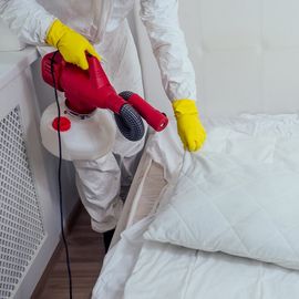 Bed Bug Treatment - GotchA! Bed Bug Inspectors