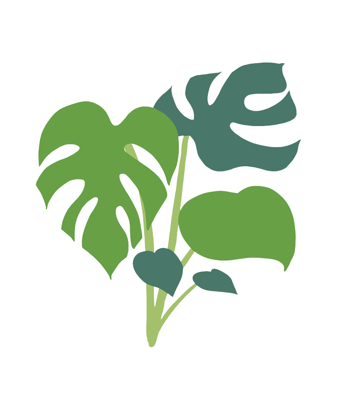 plant home cleaning services