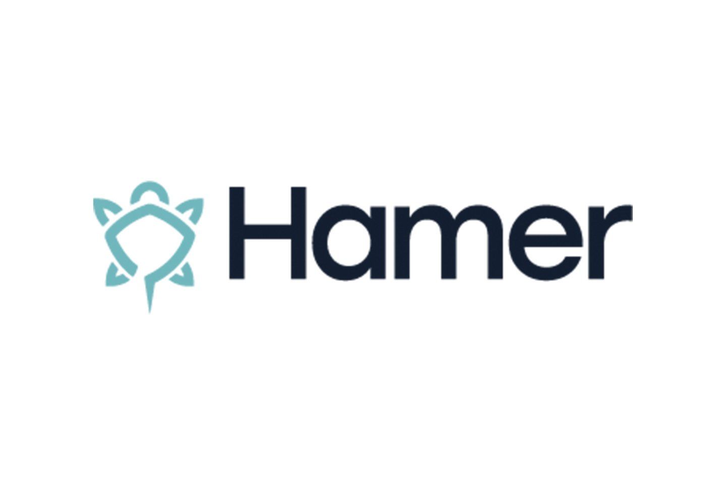 The hamer logo has a star in the middle of it.