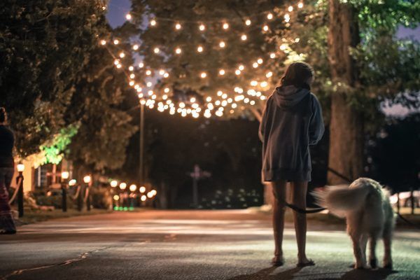 A woman is walking a dog on a leash in a nicely lit park at night.
