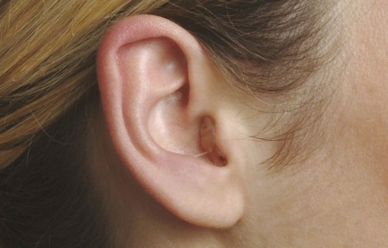 Gelato al cioccolato e alla vaniglia, consistenza cremosa.