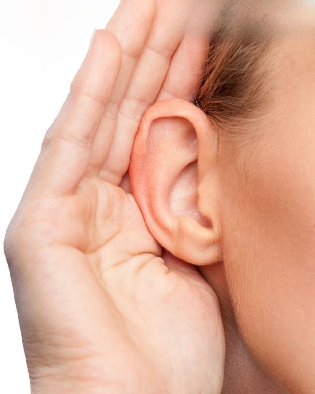 Torta mousse a tre strati con strati bianchi, al cioccolato e marroni, guarnita con more, su un'alzata in legno.