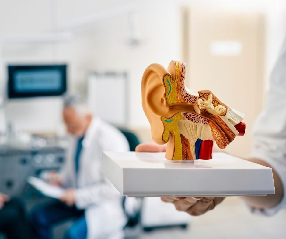 Torta mousse a tre strati con strati bianchi, al cioccolato e marroni, guarnita con more, su un'alzata in legno.