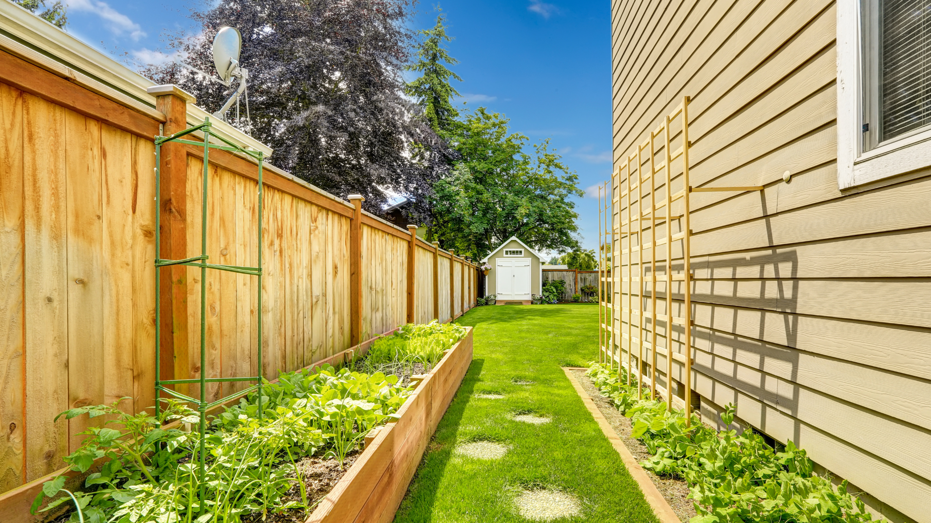 fences and gates services