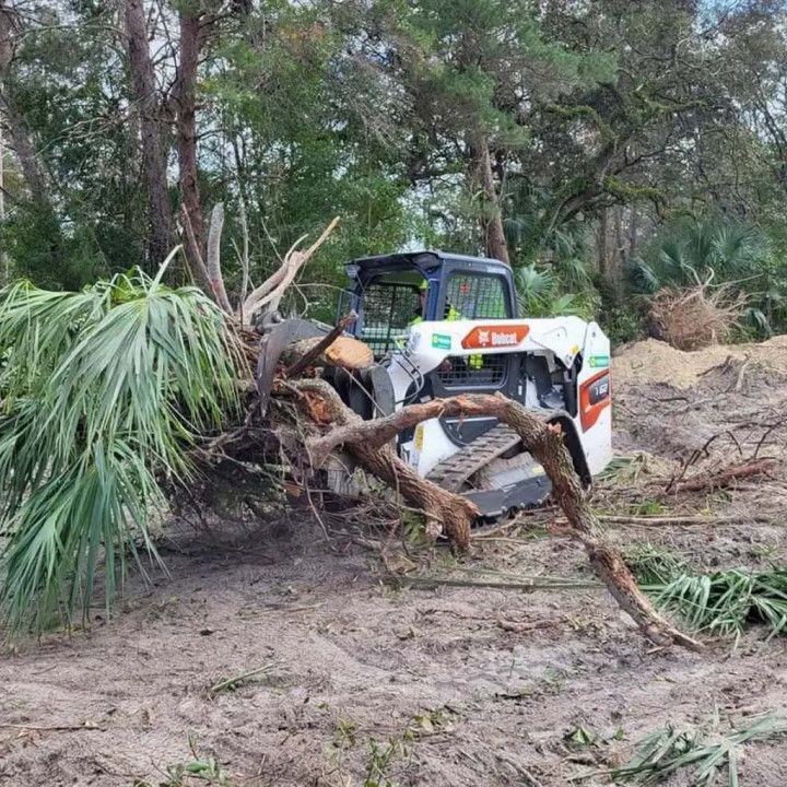 land clearing services in New Port Richey, Fl