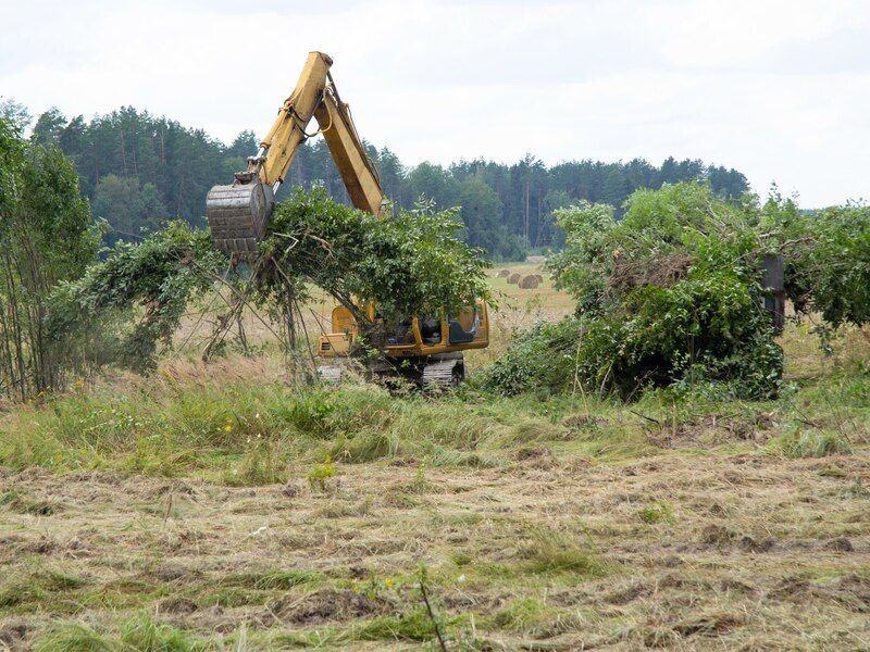 land clearing services in New Port Richey, Fl