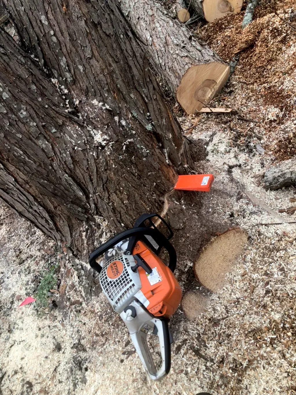 A chainsaw is sitting on the ground next to a tree trunk.