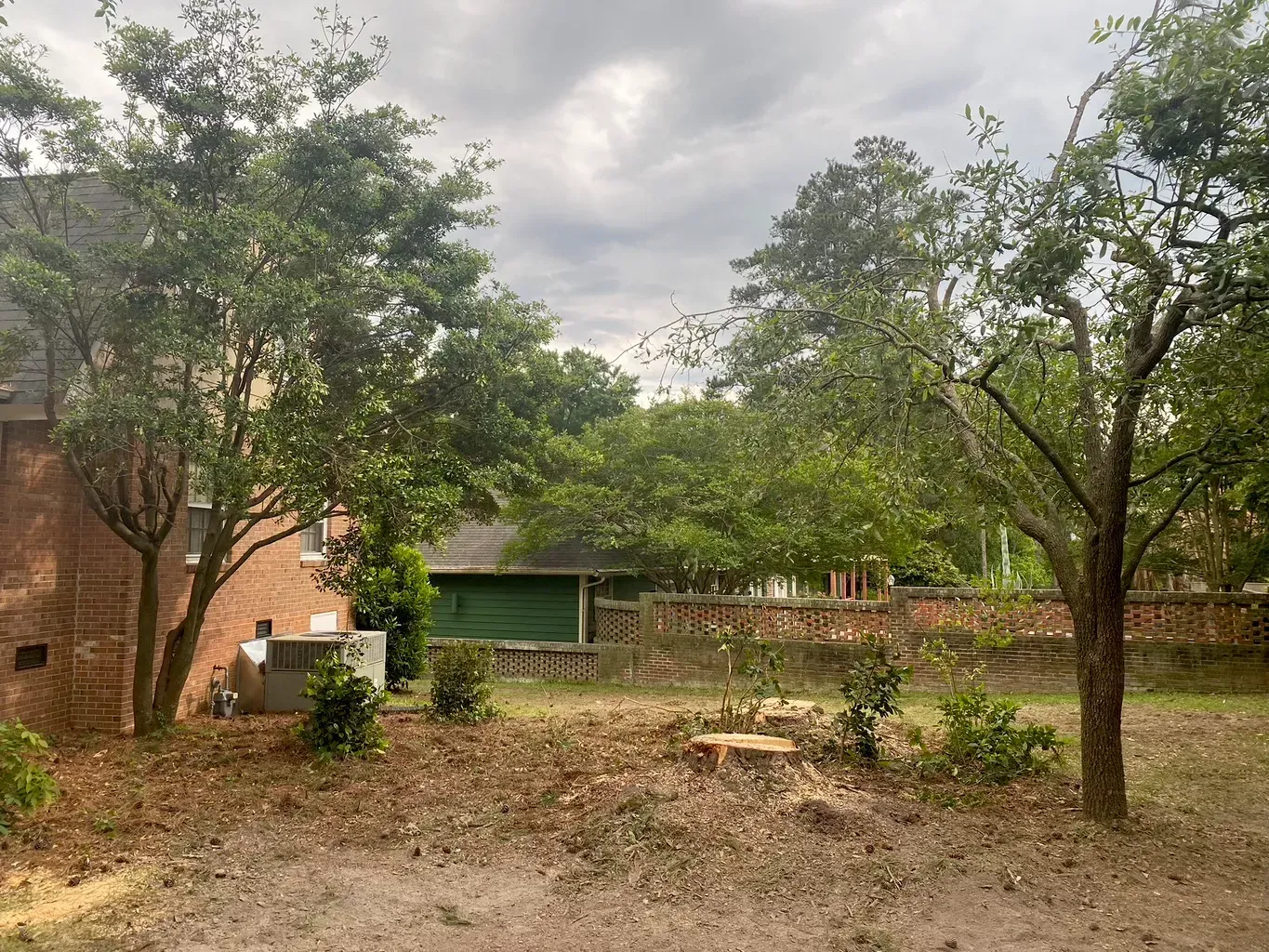 A backyard with trees and a brick house in the background.