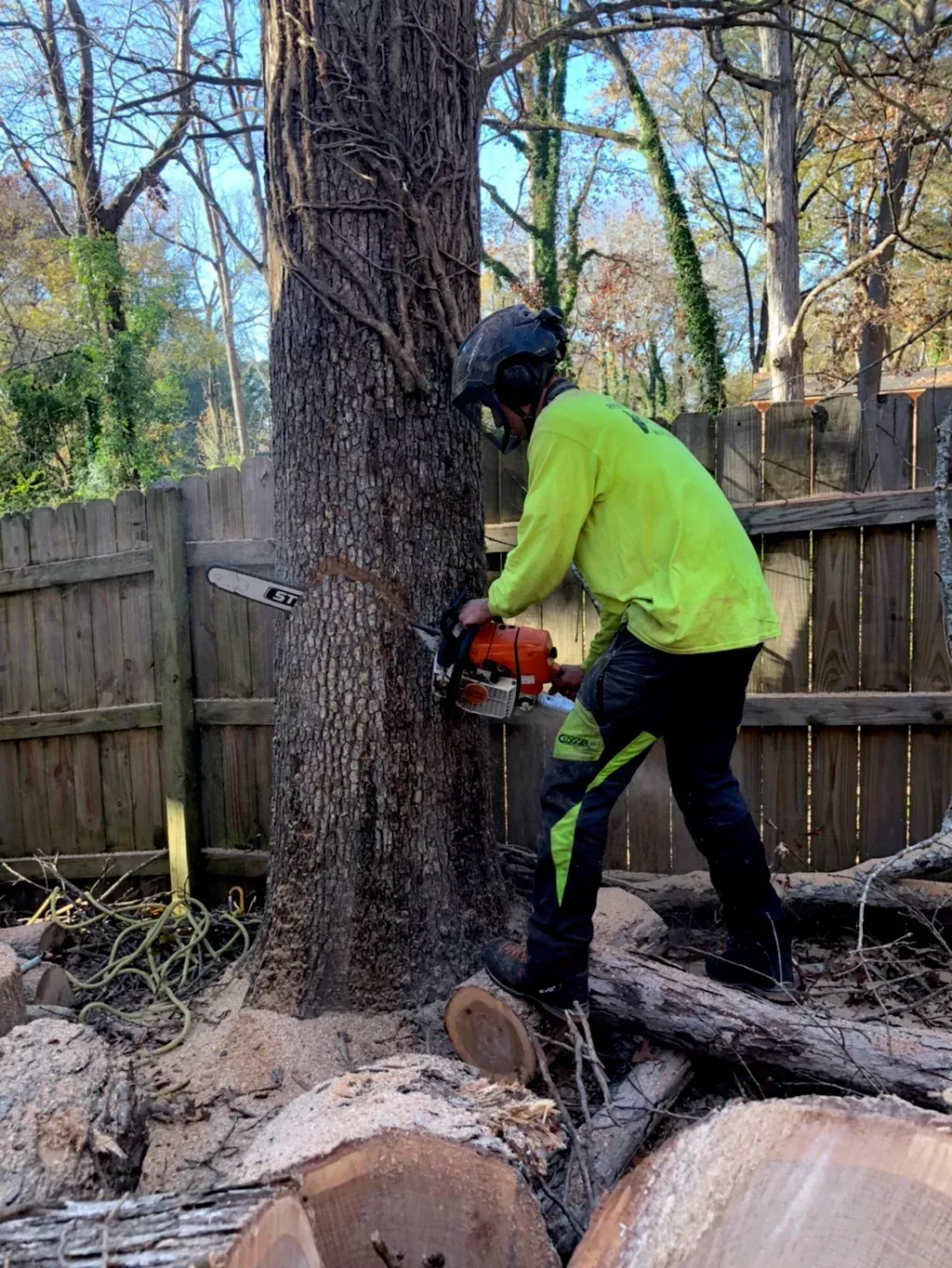 A man is cutting a tree with a chainsaw.