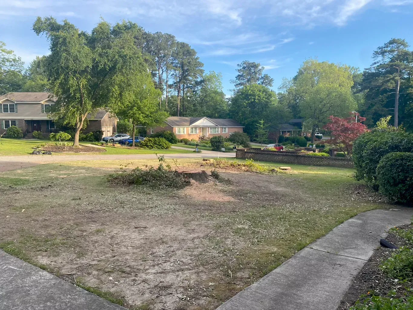 A residential area with a lot of trees and a house in the background