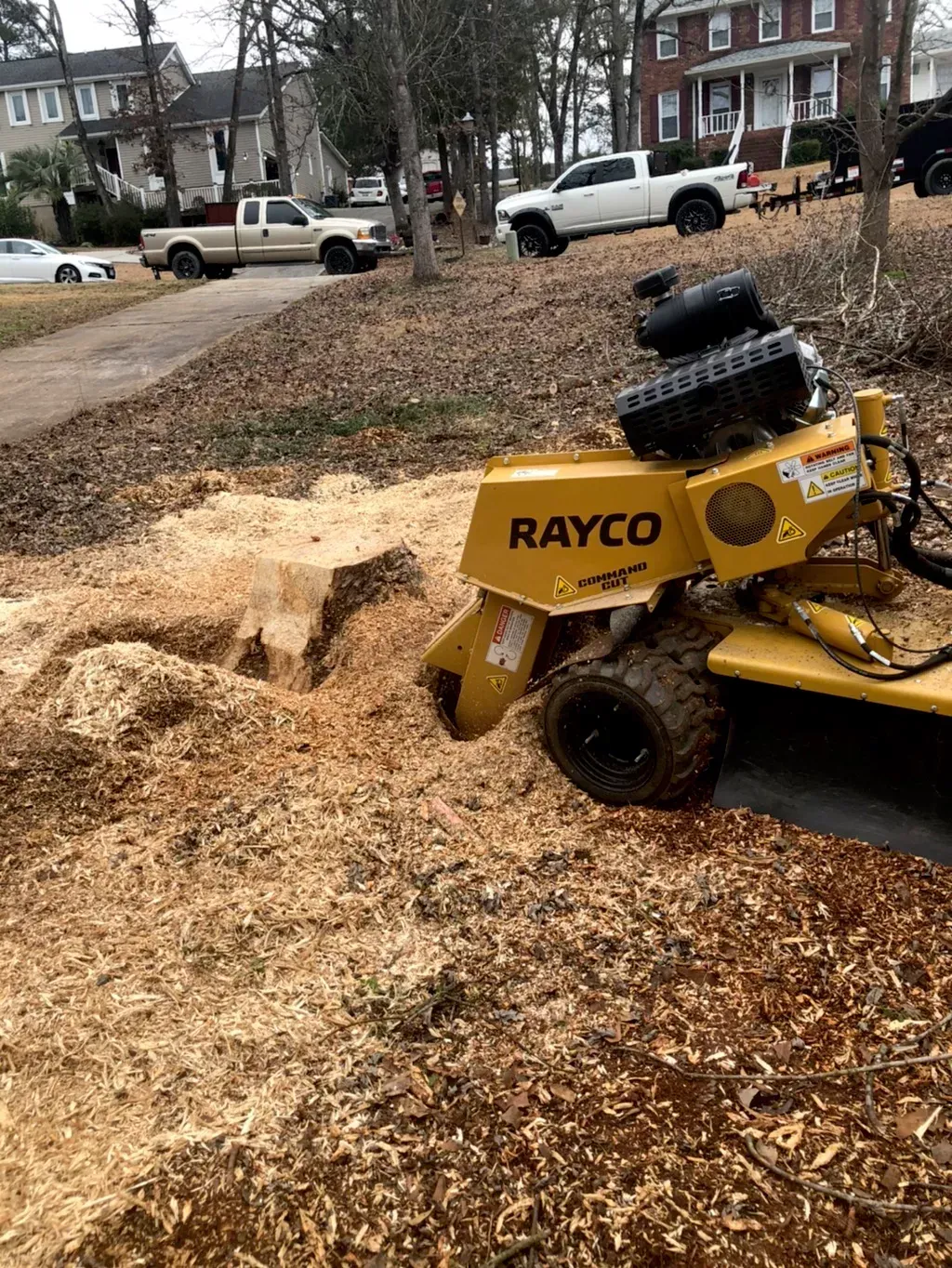 A yellow stump grinder is sitting next to a large tree stump.