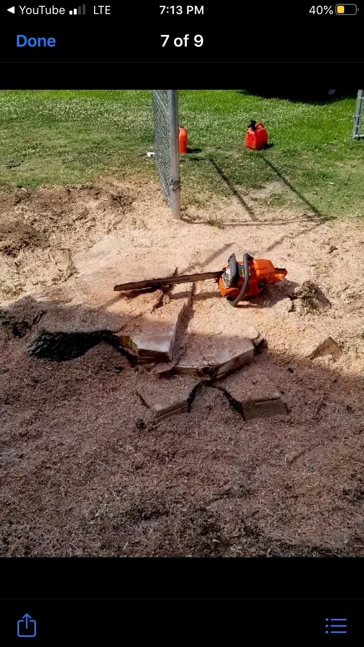 A chainsaw is laying on the ground next to a tree stump.