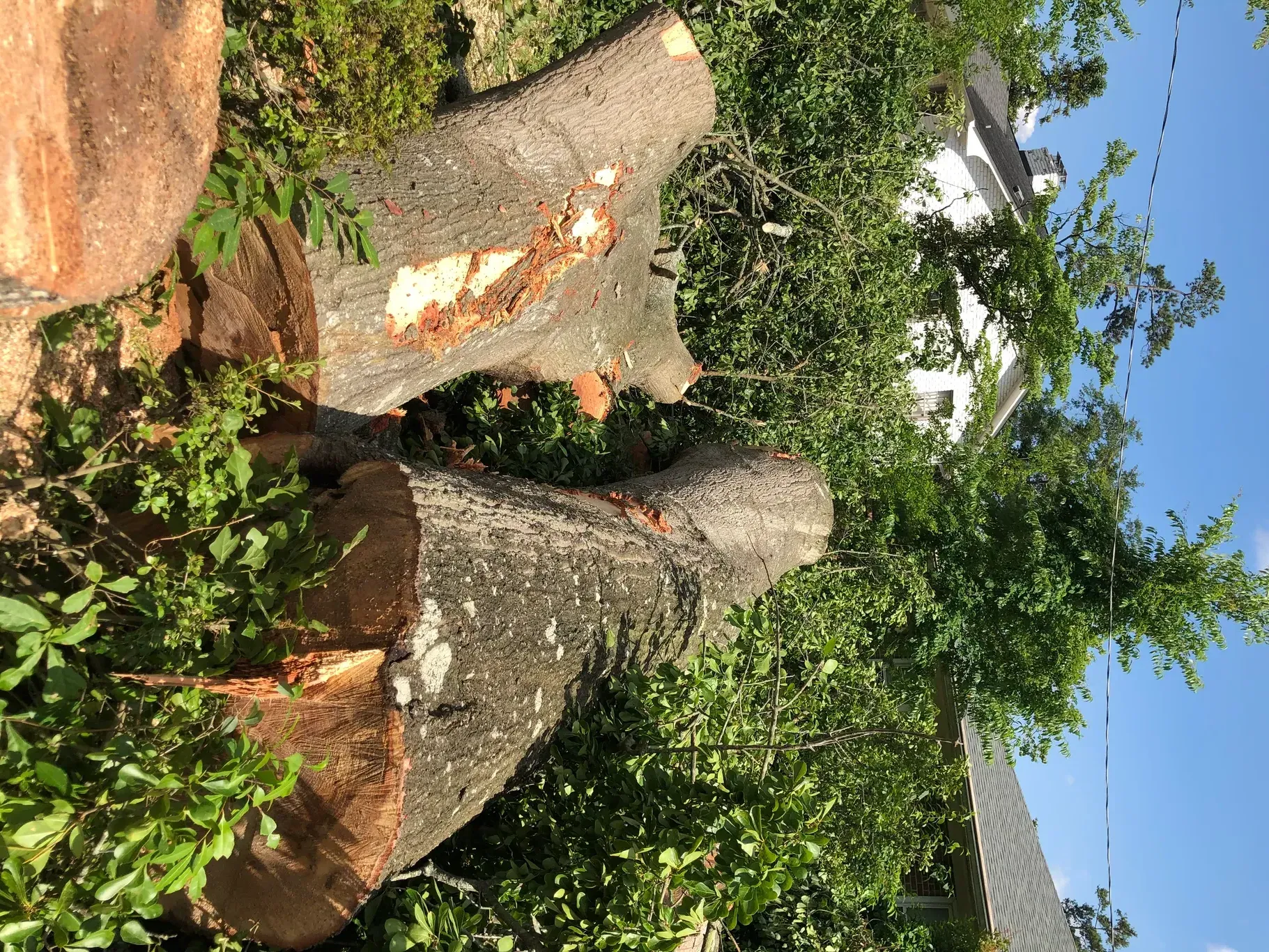 A tree stump is sitting in the grass next to a house.