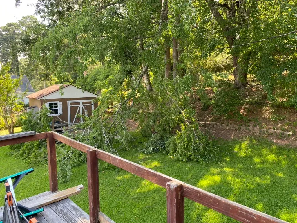 A wooden deck overlooking a lush green yard with a shed in the background.