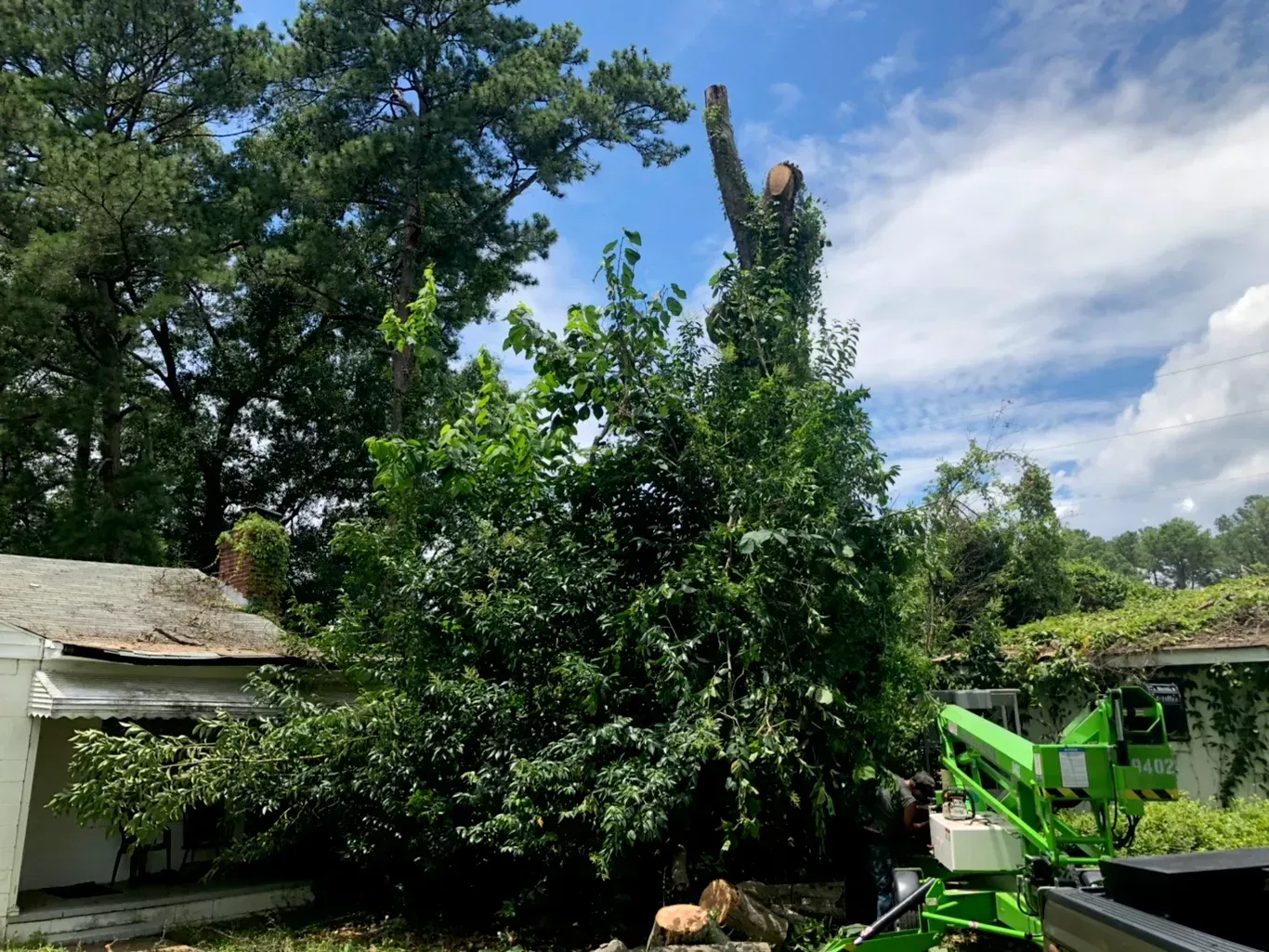 A man is cutting a tree with a crane in front of a house.