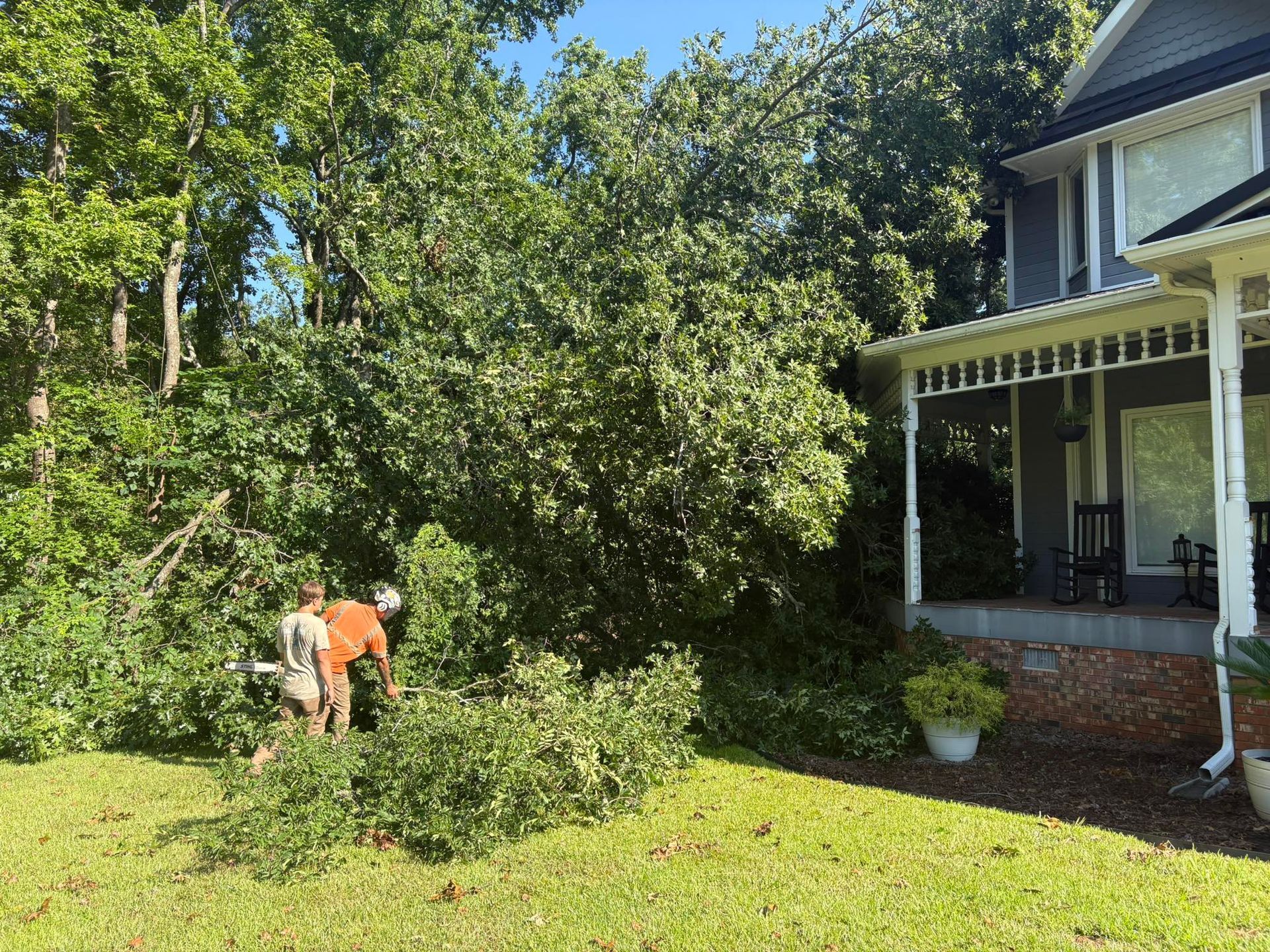 A man is cutting a tree in front of a house.