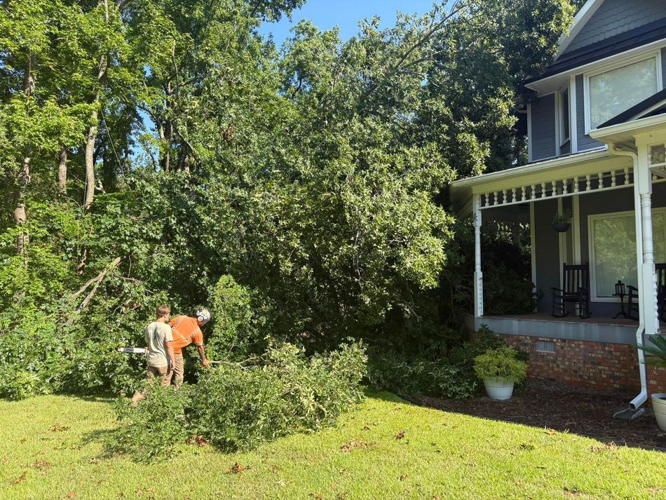 A man is cutting a tree in front of a house.