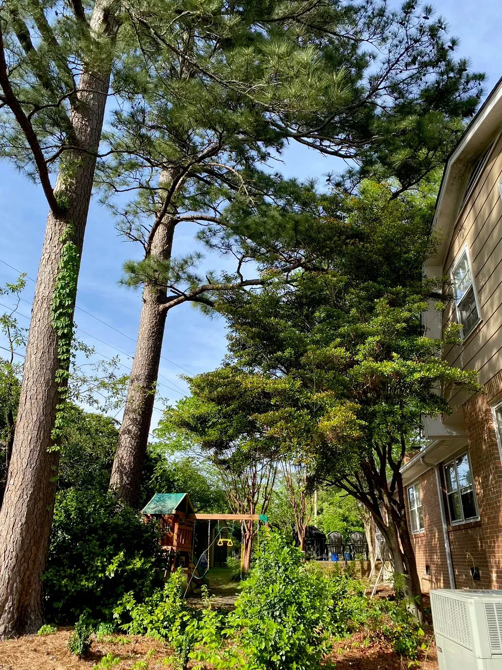 A house with a lot of trees in front of it.